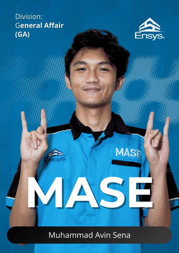 Muhammad Avin Sena